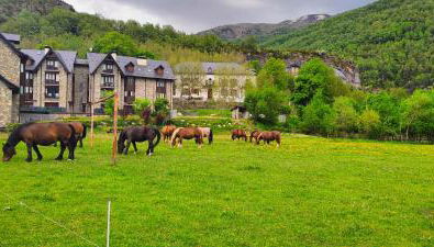 Los Cachorros - Foto 5