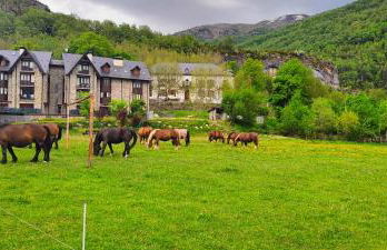 Los Cachorros - Foto 5