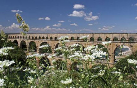 Le gite de lOlivier en Provence - Foto 30