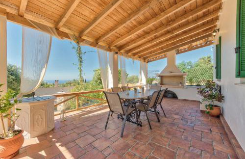 Sempreviva - Foto 56