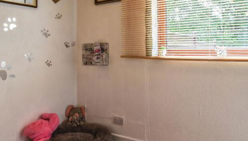 Zebra House - Photo 3