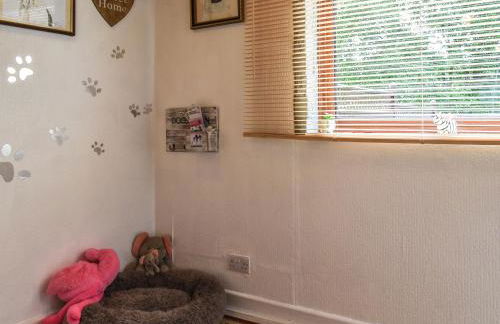 Zebra House - Foto 3