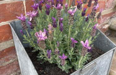 St Judes, Mundesley - Foto 22