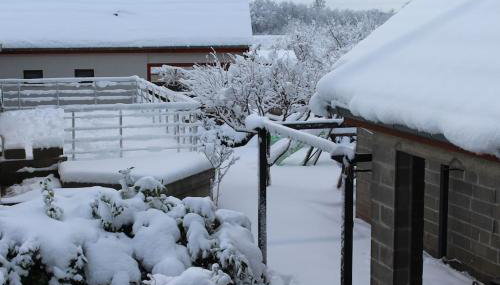 Garte Hiesel la maison de jardin Piscine été 2026 - Foto 5