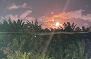 2 Quartos Camaçari - Estrada do Coco - Foto 24