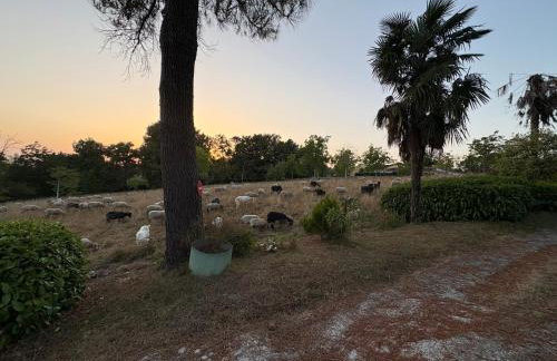 Résidence Au bon air Barbotan - Foto 35