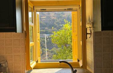 Ioulis Century Home - Photo 46