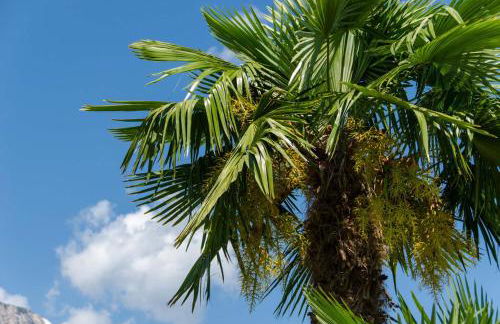 Weinangerhof St Pauls - Foto 18