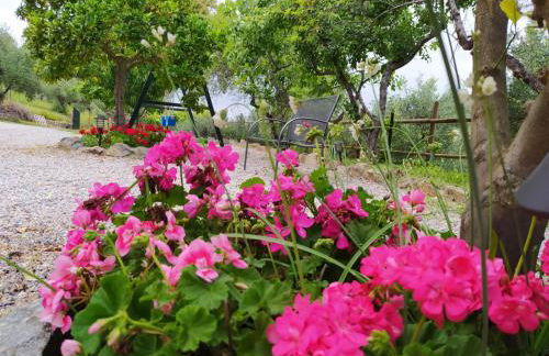 Casa Rural El Bonito - Photo 7