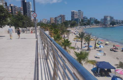 A 50 metros del mar y en 2 paradas de bus estas en el centro de Alicante - Foto 25