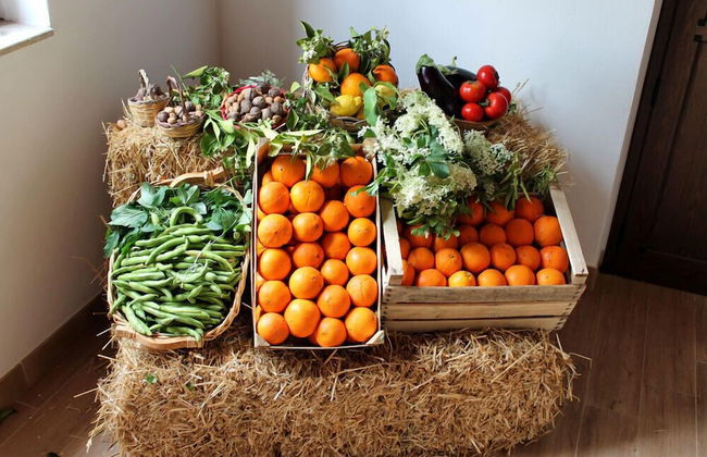 Tenuta Lanza Il Mulino - Photo 15