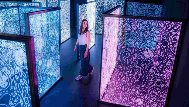 Biglietti per IKONO Budapest - Foto 3