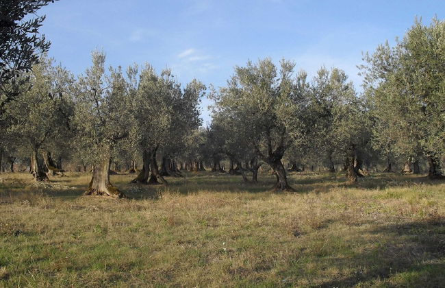 Beautiful Farmhouse with Hot Tub in Umbria - Photo 34