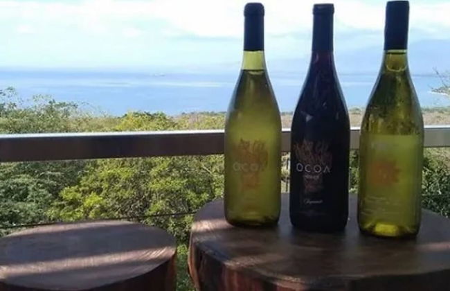 Villa Los Almendros - 2 Private Pools & Tennis & Pickle Ball - Photo 37