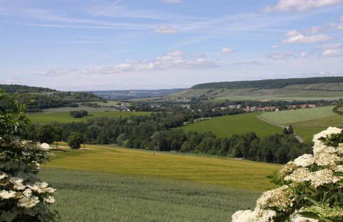 Gîte le Pilon - Foto 30