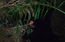 Quinta da Pedra do Elefante - Foto 34