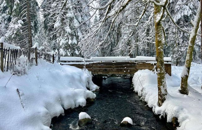 Chalet in La Bresse With Valley Views - Photo 39