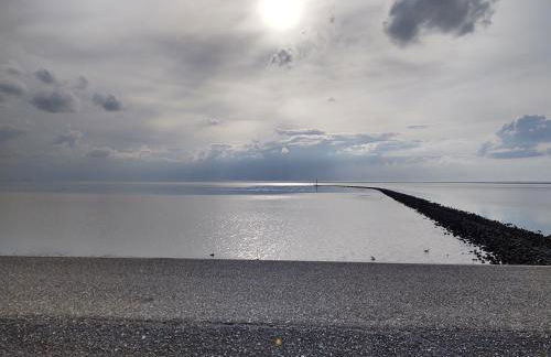 Zaunkönigin - Foto 42