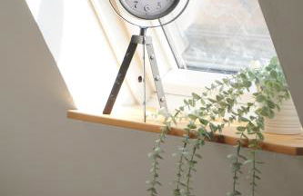 Gemütliche Wohnung mit großer Dachterrasse - Foto 9