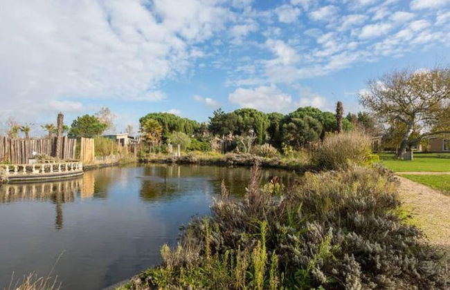 Cozy Chalet in Vrouwenpolder With Garden - Foto 27