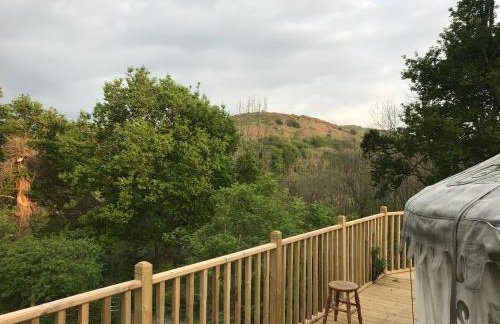 Hapus Yurt - Two Beautiful Yurts and Barn Cottage - Foto 39