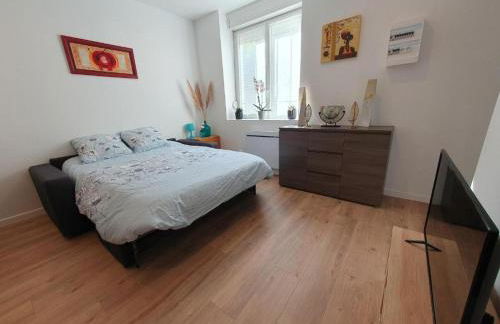 Appart'hôtel, IKIMO 5 appartements entiers à votre disposition au choix - Foto 30