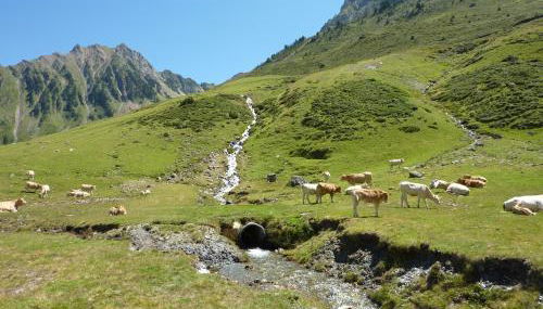 Résidence Mer & Golf Tourmalet - Photo 3
