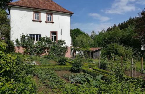 Luise Im Künstlerhaus - Foto 18