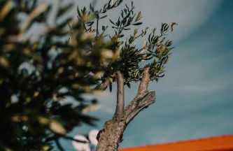 Casa da Mina - Pendilhe - Foto 50