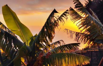 Vista Romantica Madeira - Photo 12