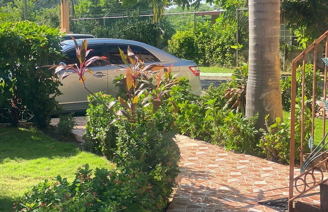 Montego Bay Ironshore Luxury Studios - Photo 34