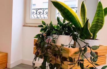 Mezzanine with courtyard in Porto n 29 - Foto 9