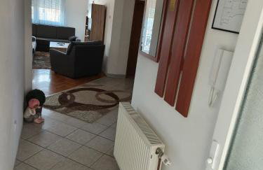 Apartmani MARIN-ŽUPANJA - Foto 41