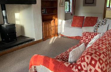 Bryn Rhedyn cottage - Foto 8