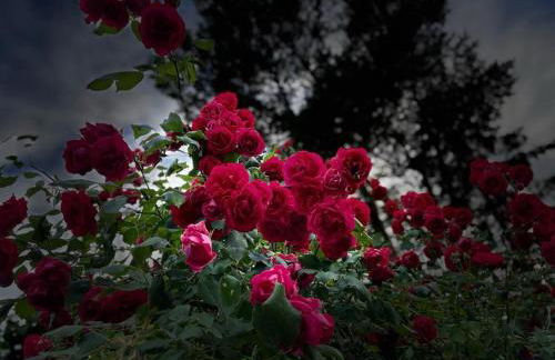 Peeneurlaub - Foto 62