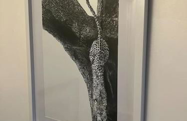 Cosy private accommodation in Corsham, near Bath - Foto 11