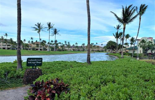 Coconut at Shores - Waikoloa Beach Resort - Foto 42