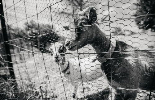 CHEZ Xavier - Foto 27