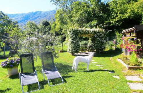 Holiday Home Liliana - Foto 52