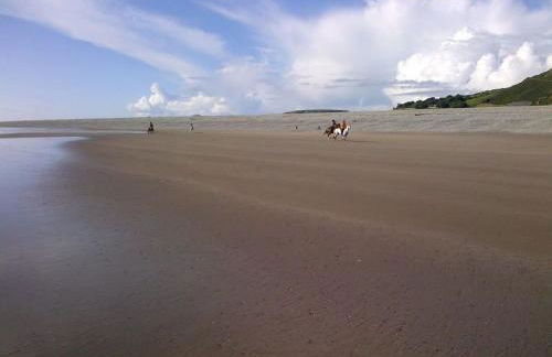 Trem Y Mor - Edge of the Sea - Foto 36