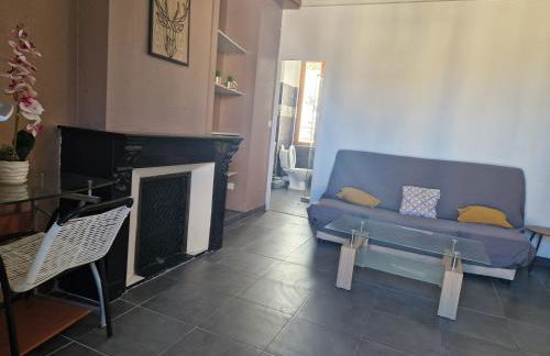 Le Petit Servian - Foto 6