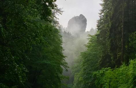 Ferienwohnung Am Grünbach 2 - Foto 19