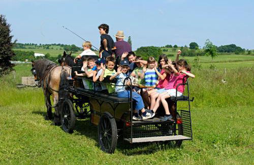 Nengshof Ferienwohnungen Mohnblume und Kornblume - Foto 8