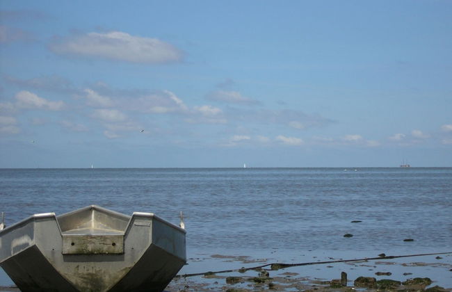 Chalet Near the Wadden Sea - Foto 26