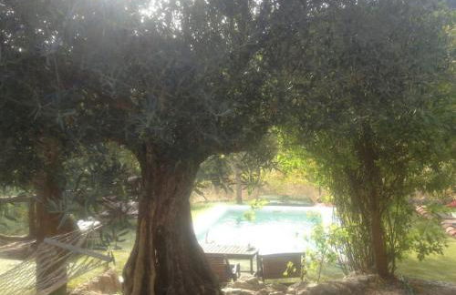 A 11 km de Riopar Casa Acogedora con sabor antaño - Foto 36