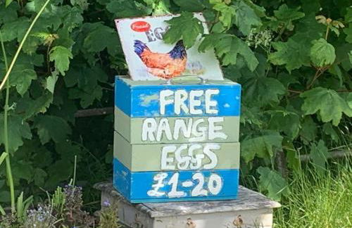 Deveron Valley Cottages - Foto 126