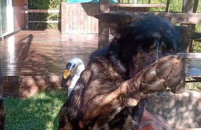 Chalé No Mundo da Lua - Photo 8