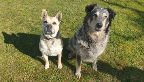 Apartment in Villa La Carruba - Foto 5