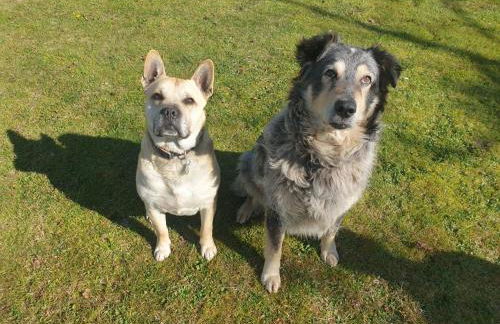 Apartment in Villa La Carruba - Photo 5