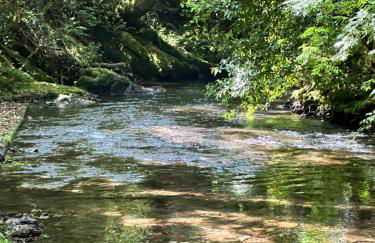 Casa Calma Rural - Foto 36